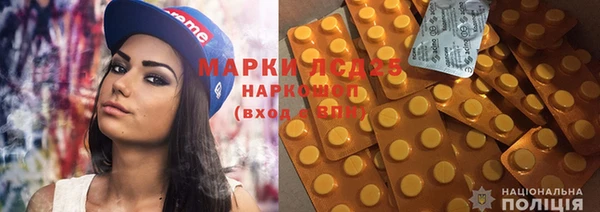 прущие грибы Абдулино