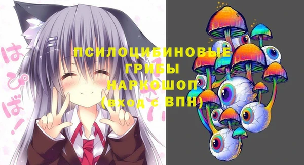 прущие грибы Абдулино