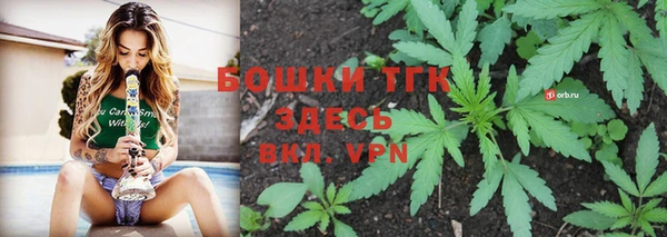 прущие грибы Абдулино