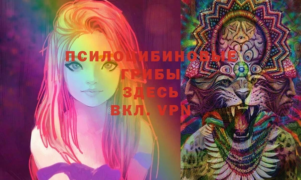 ешки Мегион