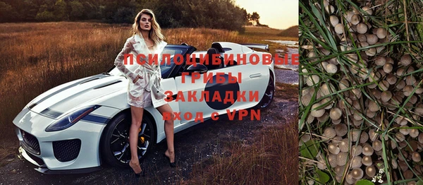 мет Абаза