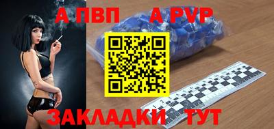 гашик Кингисепп
