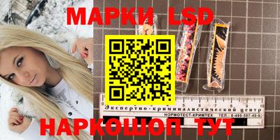 гашик Кингисепп