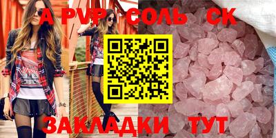 гашик Кингисепп