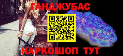 гашик Кингисепп