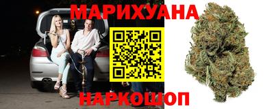 гашик Кингисепп