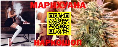 гашик Кингисепп