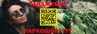 гашик Кингисепп
