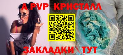 гашик Кингисепп