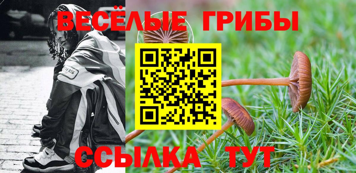 Псилоцибиновые грибы Psilocybine cubensis Хасавюрт