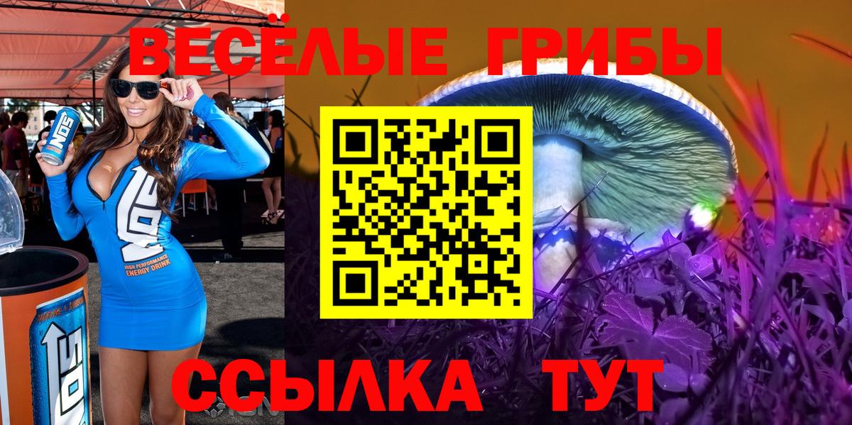 Галлюциногенные грибы MAGIC MUSHROOMS  Вход с VPN  Хасавюрт 