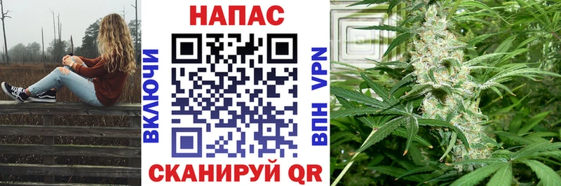 купить закладку  Хасавюрт  Марихуана SATIVA & INDICA 
