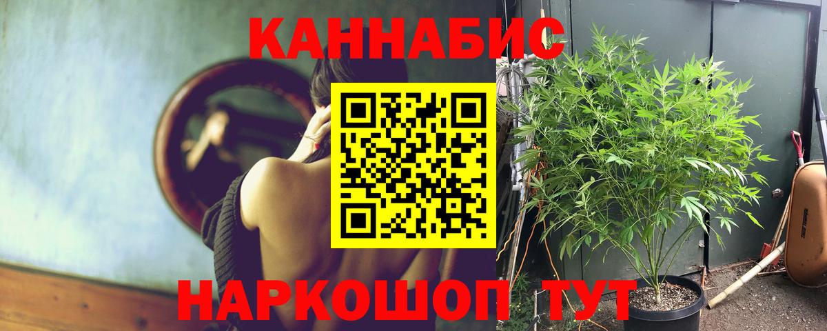 Хасавюрт  Марихуана THC 21%  Бошки Шишки MAZAR  Бошки Шишки White Widow  Бошки Шишки MAZAR  Вход с VPN 